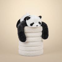 Pandus